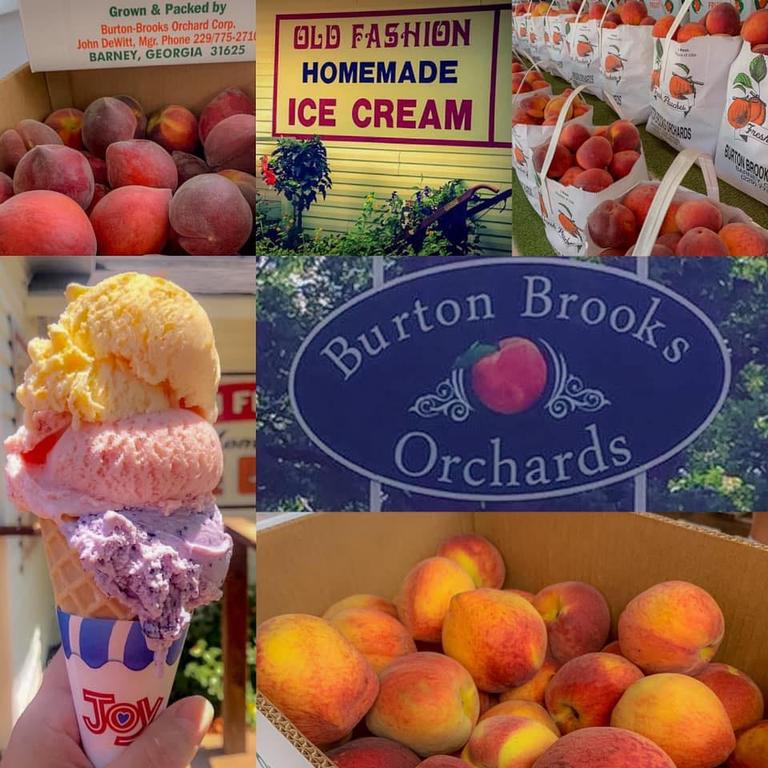 Burton Brooks Orchards